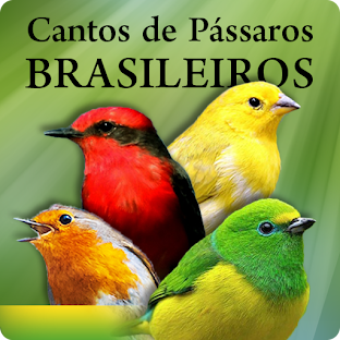 Cantos de Pássaros Brasileiros HQ Audio